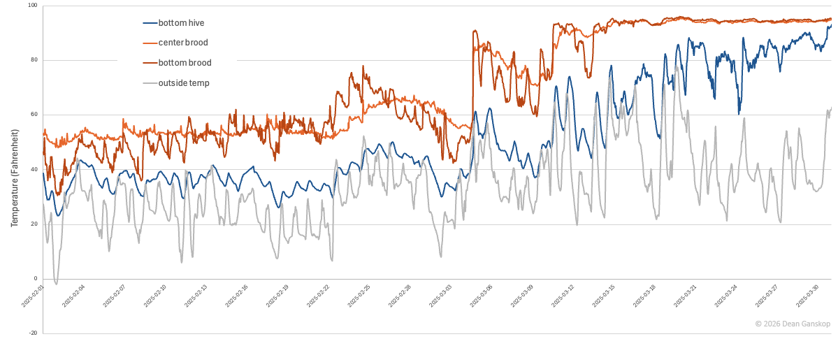 Line chart showing brood rearing temperature